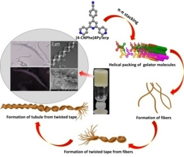 Real-time Observation of Macroscopic Helical Morphologies under Optical Microscope: A Curious Case of π–π Stacking Driven Molecular Self-assembly of an Organic Gelator Devoid of Hydrogen Bonding