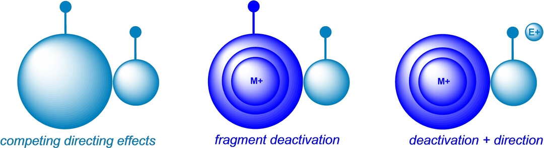 Metal Ion-Induced Large Fragment Deactivation: A Different Strategy for Site-Selectivity in a Complex Molecule