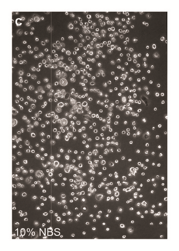 Details are in the caption following the image