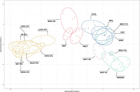 RAD-tag and mitochondrial DNA sequencing reveal the genetic structure of a widespread and regionally imperiled freshwater mussel, Obovaria olivaria (Bivalvia: Unionidae)