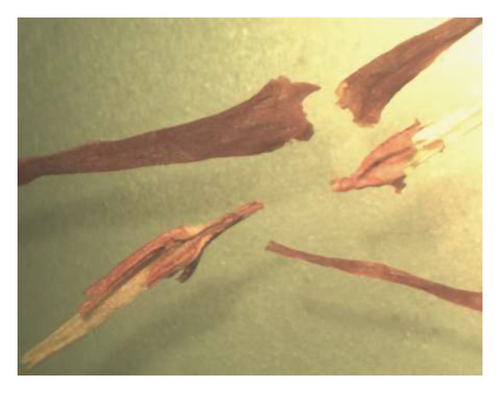 Details are in the caption following the image