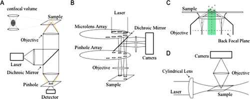 Details are in the caption following the image Details are in the caption following the image