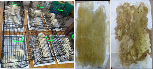 Details are in the caption following the image Details are in the caption following the image