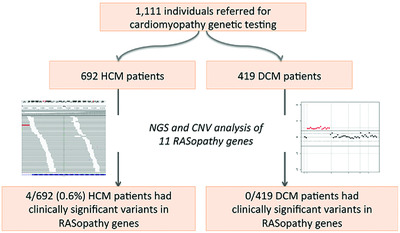 NGS testing for cardiomyopathy: Utility of adding RASopathy-associated genes