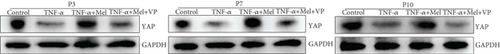 Details are in the caption following the image