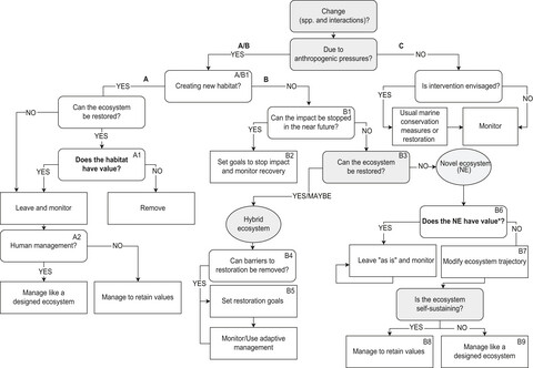 A triage framework for managing novel, hybrid, and designed marine ecosystems