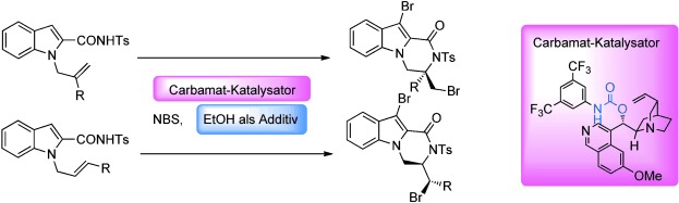 Carbamate-Catalyzed Enantioselective Bromolactamization