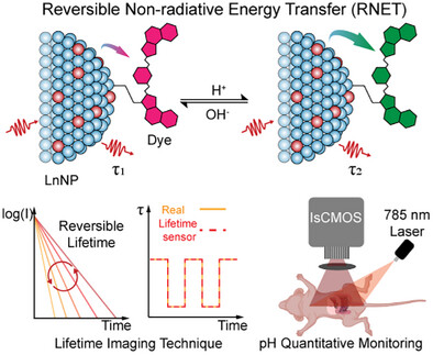 A Lifetime Nanosensor for In Vivo pH Quantitative Imaging and Monitoring