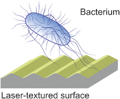 Laser-Textured Surfaces: A Way to Control Biofilm Formation?