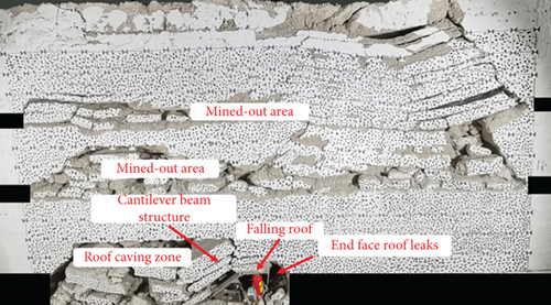 Details are in the caption following the image Details are in the caption following the image