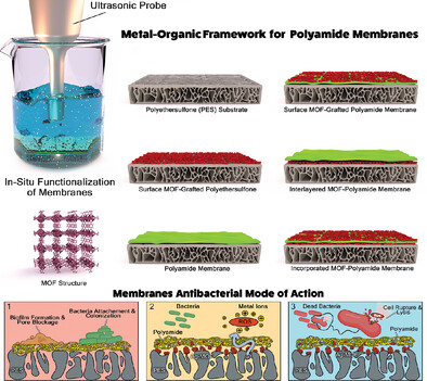 Analysis of Metal–Organic Framework and Polyamide Interfaces in Membranes for Water Treatment and Antibacterial Applications