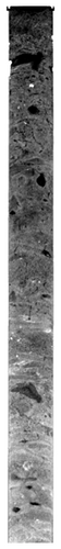 Details are in the caption following the image