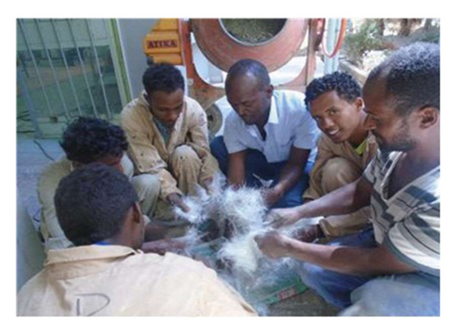 Details are in the caption following the image