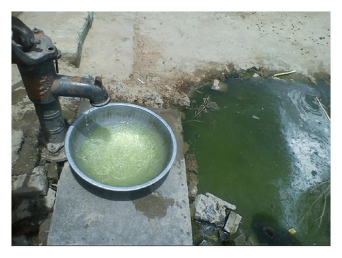 Details are in the caption following the image Details are in the caption following the image