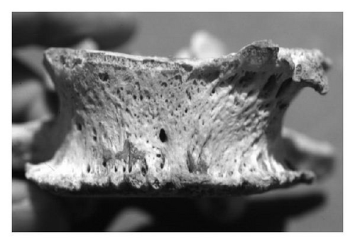 Details are in the caption following the image