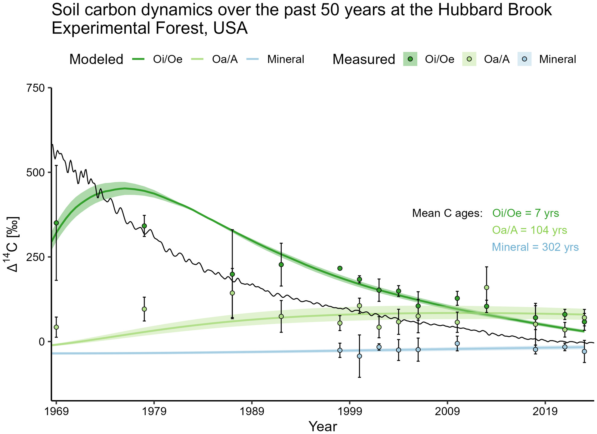 Temporal and Spatial Dynamics of Soil Carbon Cycling and Its Response to Environmental Change in a Northern Hardwood Forest