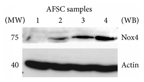 Details are in the caption following the image