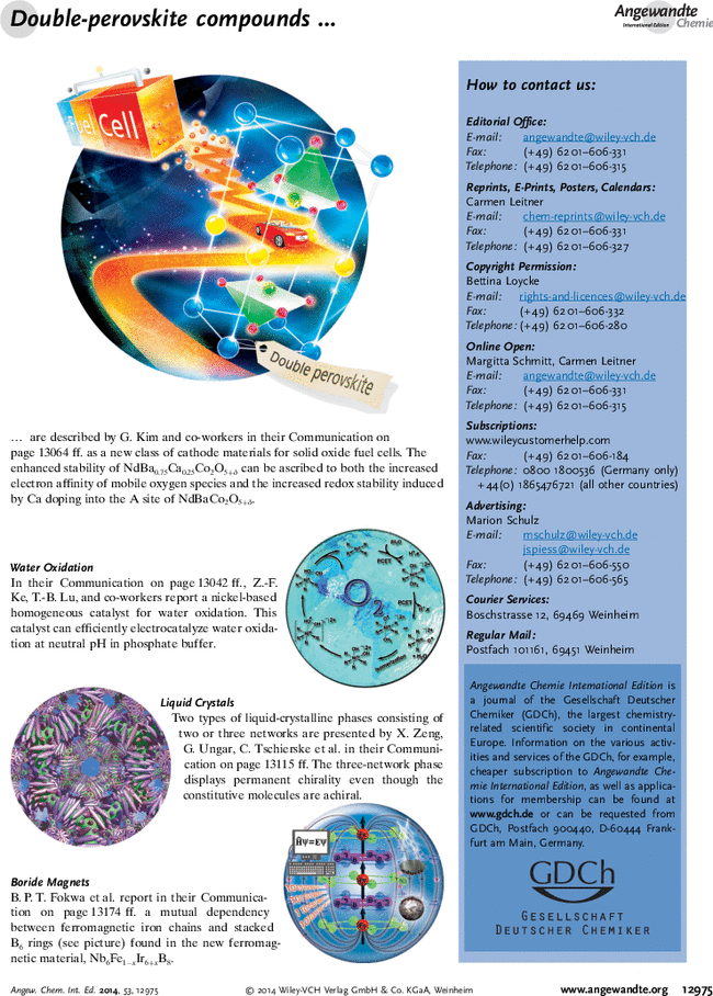 First page image