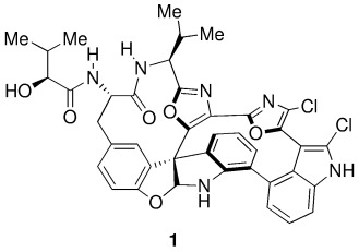 The Second Total Synthesis of Diazonamide A