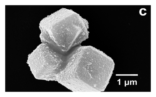Details are in the caption following the image