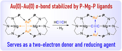 Dinuclear Au(0) Complex Supported by Tridentate P-Mg-P Ligands
