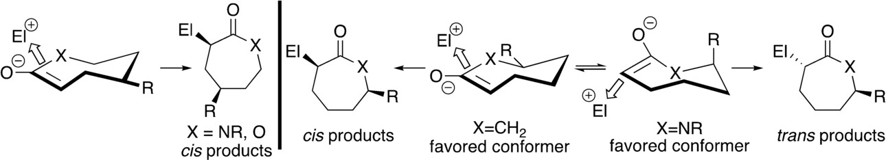 Origin of High Diastereoselectivity in Reactions of Seven-Membered-Ring Enolates