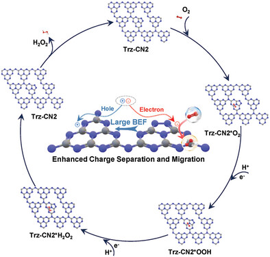 The Direct Air Synthesis of Hydrogen Peroxide Induced by The Giant Built-In Electric Field of Trz-CN