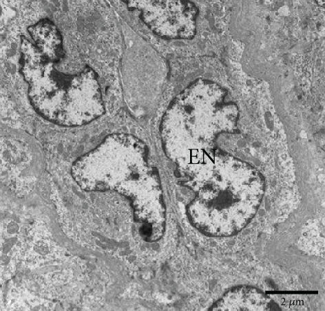 Details are in the caption following the image