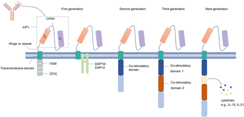 Details are in the caption following the image Details are in the caption following the image