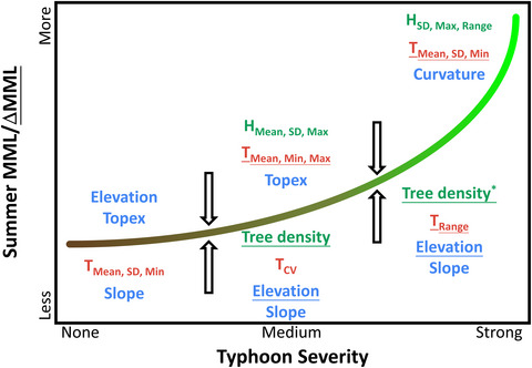 Variation of seasonal litterfall in subtropical montane cloud forests to typhoon severity and environmental factors