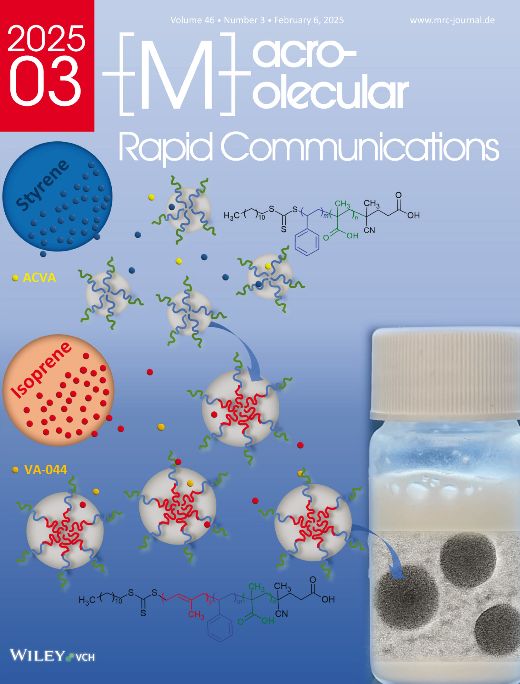 Polymerization-Induced Self-Assembly for the Synthesis of Polyisoprene-Polystyrene Block and Random Copolymers: Towards High Molecular Weight and Conversion Volume 46 Issue 3, 2025