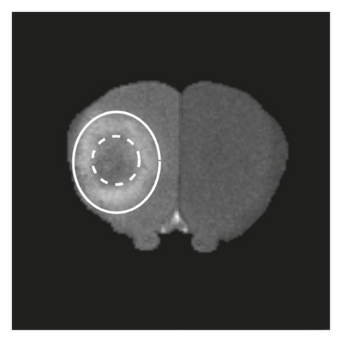 Details are in the caption following the image