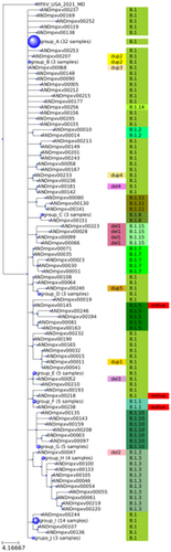 Details are in the caption following the image Details are in the caption following the image