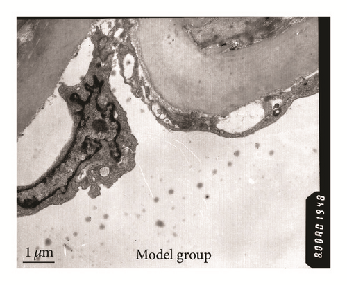 Details are in the caption following the image