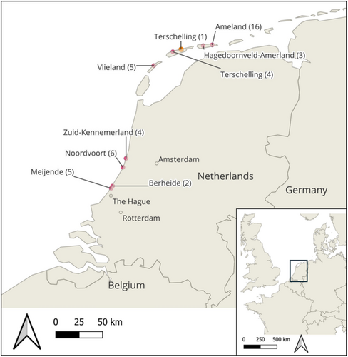 Details are in the caption following the image Details are in the caption following the image