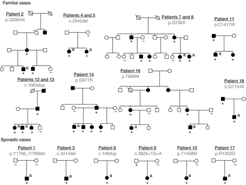 Details are in the caption following the image Details are in the caption following the image