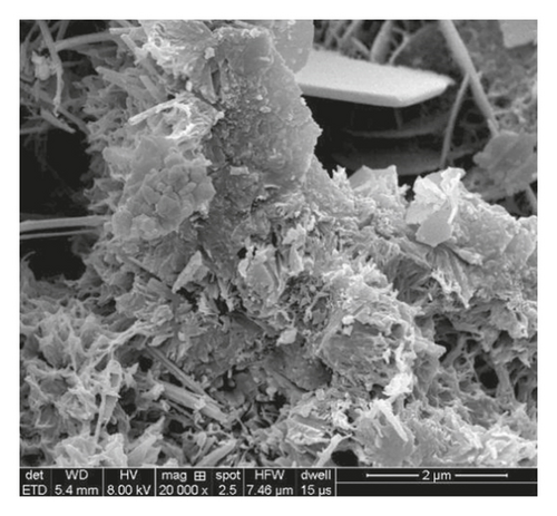 Details are in the caption following the image