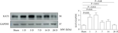 Details are in the caption following the image
