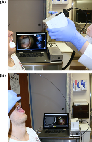 Details are in the caption following the image Details are in the caption following the image