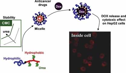 Delivery of Anticancer Drugs Using Polymeric Micelles Stabilized by Hydrogen-Bonding Urea Groups