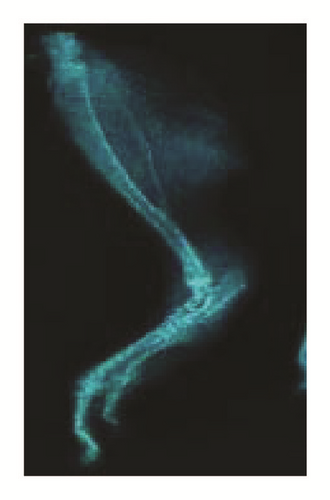 Details are in the caption following the image
