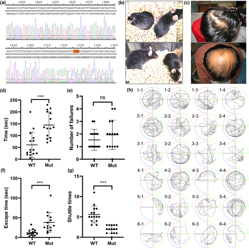 Details are in the caption following the image Details are in the caption following the image