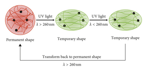 Details are in the caption following the image