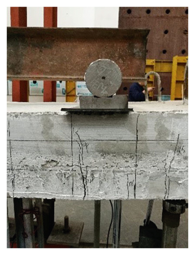 Details are in the caption following the image Details are in the caption following the image