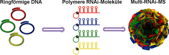 A Multi-RNAi Microsponge Platform for Simultaneous Controlled Delivery of Multiple Small Interfering RNAs