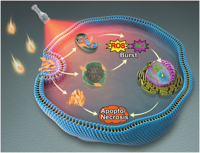 Photothermal and Enhanced Photocatalytic Therapies Conduce to Synergistic Anticancer Phototherapy with Biodegradable Titanium Diselenide Nanosheets