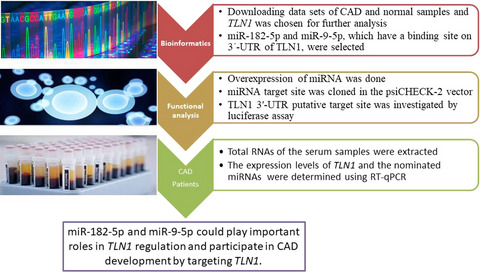 Downregulation of Talin-1 is associated with the increased expression of miR-182-5p and miR-9-5p in coronary artery disease