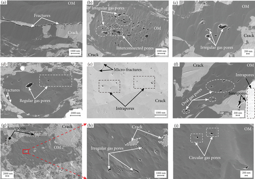Details are in the caption following the image Details are in the caption following the image