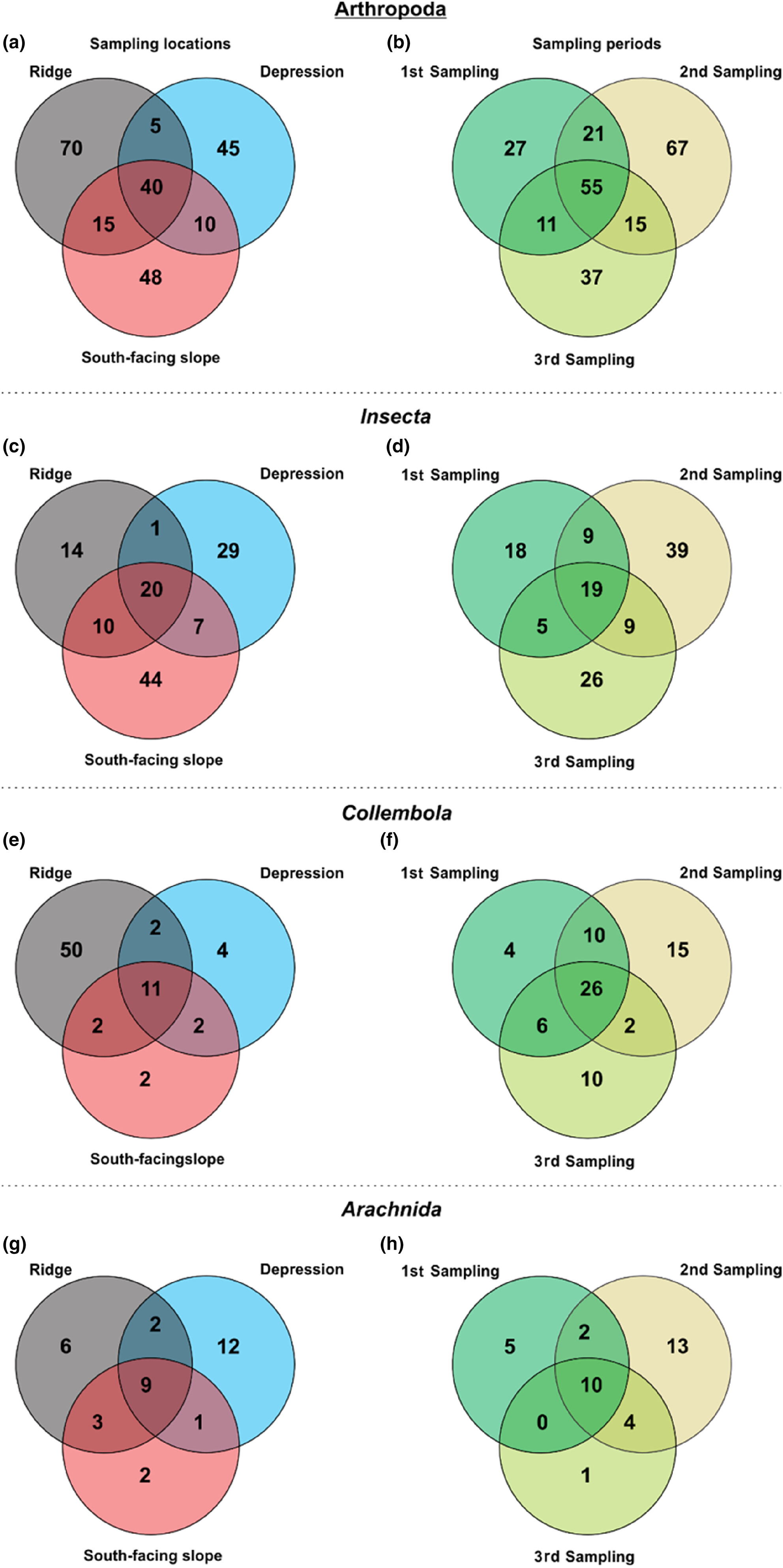 Arthropod diversity in the alpine tundra using metabarcoding: Spatial and temporal differences in alpha- and beta-diversity
