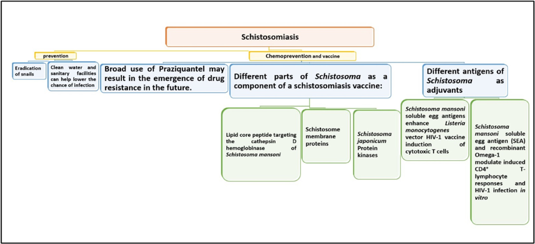 Schistosomiasis Chemotherapy, Chemoprevention, and Vaccines: History, Progress, and Priorities